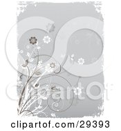 Poster, Art Print Of Brown And White Flowering Plants With Butterflies And Grasses Over A Gray Background Bordered By White Grunge