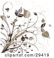 Dark Brown And Tan Grungy Leafy Plants On A Splattered Off White Background