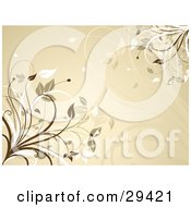 Clipart Illustration Of A Yellowish Brown Background With Brown And White Leafy Flourishes
