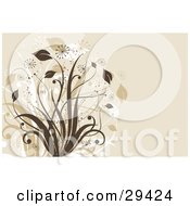 Clipart Illustration Of Silhouetted Brown And White Plants With Bursts On A Beige Background
