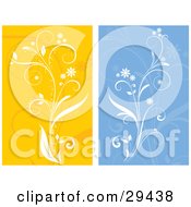 Poster, Art Print Of Set Of White Flowering Plants Over Orange And Blue Backgrounds