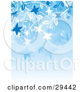 Poster, Art Print Of Blue And White Flowering Plants Hanging Down Over A Gradient Background