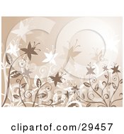 Clipart Illustration Of Blooming Brown And White Star Shaped Flowers Over A Brown Background