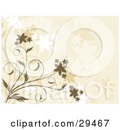 Clipart Illustration Of A Flowering Brown Plant Over A Beige Background With Faded Flowers