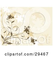 Poster, Art Print Of Flowering Brown Plant Over A Beige Background With Faded Flowers