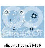 Poster, Art Print Of Blue Background With White And Blue Star Shaped Flowers With Sparkling Stems And Faded Swirls