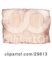 Poster, Art Print Of Blank Piece Of Pinkish Wrinkled Parchment Paper On A White Background