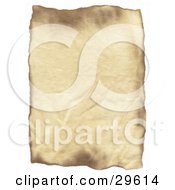 Vertical Blank Piece Of Wrinkled Parchment Paper On A White Background