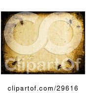 Poster, Art Print Of Textured Background Of Insects Crawling On A Wall Bordered By Black Grunge