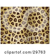 Background Of Brown And Tan Leopard Rosettes