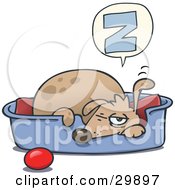 Poster, Art Print Of Sleepy Dog Napping In A Dog Bed A Ball At His Side Holding One Ear Up And One Eye Open