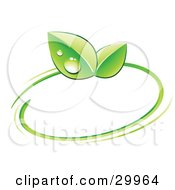 Clipart Illustration Of A Pre Made Logo Of Green Dew Covered Leaves And A Circle