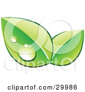 Pre-Made Logo Of Two Green Dew Covered Leaves