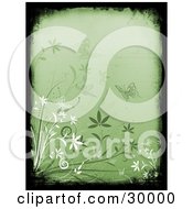 Poster, Art Print Of Black Grunge Border With White And Green Plants And Butterflies Over A Green Background