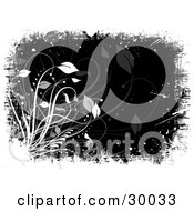 Poster, Art Print Of White And Faded Plants Over A Black Background And White Grunge
