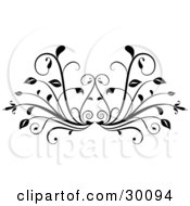 Poster, Art Print Of Leafy Plant Flourish In Black Over A White Background