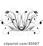 Black Floral Design Element With Leaves At The Tips Of Grasses