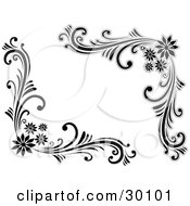 Set Of Floral Corner Flourishes In Black And White With Four Flowers In The Corners