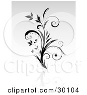 Clipart Illustration Of A Curly Leaf Vine On A Reflective Surface