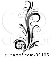 Clipart Illustration Of A Black And White Decorative Plant With Curling Grasses