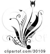 Clipart Illustration Of A Flowering Plant Silhouetted In Black Over A White Background