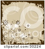 Beige Background Of Spirals Bordered By Brown Grunge And Brown And White Flowers