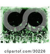Poster, Art Print Of Black Background Bordered By Green And White Grunge With Green Leaves Along The Bottom
