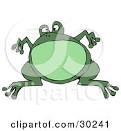 Poster, Art Print Of Big Green Bullfrog Leaping And Suspended In Mid Air