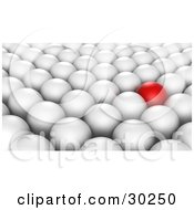 Prominent Red Ball In Rows Of White Balls