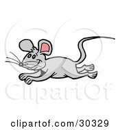 Clipart Illustration Of A Happy Gray Mouse Running And Leaping