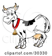 Happy Black And White Dairy Cow Wearing A Bell Around Its Neck