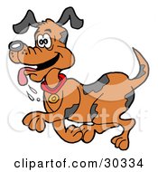 Clipart Illustration Of A Happy Brown Dog With Spots Trotting With His Tongue Hanging Out by LaffToon