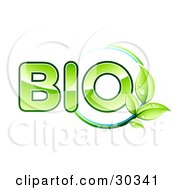 Clipart Illustration Of A Leafy Green Vine With Dew And A Circle Around The Green Word BIO