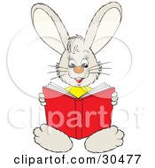 Poster, Art Print Of Smart Little Bunny Rabbit Sitting And Reading A Red Book