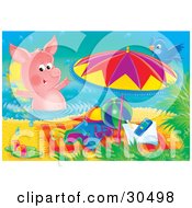 Blue Bird Perched On An Umbrella Watching A Pink Pig Swim By Beach Toys And A Towel On The Beach