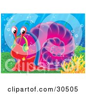 Poster, Art Print Of Red Sea Snail With A Purple Shell Moving Slowly Along The Sea Floor