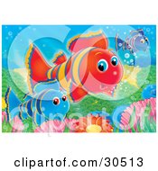 Poster, Art Print Of Blue Red And Purple Clownfish Swimming Over Anemones On A Reef