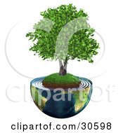 Clipart Illustration Of A Realistic 3D Tree With Lush Green Leaves Growing On A Grassy Hill With Dirt In The Center Of Planet Earth Cut In Half by Frog974