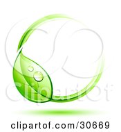 Clipart Illustration Of A Dewy Green Vine Circling Around Blank White Space