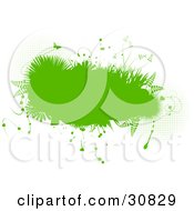 Abstract Green Grunge Background Of A Text Box Bordered In Ferns Plants Grasses And Butterflies Over White With Grunge Dots