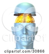 3d Rendered Head Opening Up To Display A Golden Brain