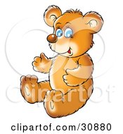 Poster, Art Print Of Cute Blue Eyed Bear Cub Sitting On The Floor And Smiling