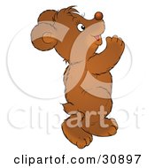 Poster, Art Print Of Happy Bear Cub Dancing And Having Fun