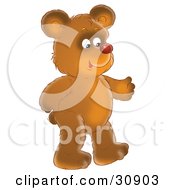 Happy Brown Bear With A Red Nose Walking Upright On His Hind Legs