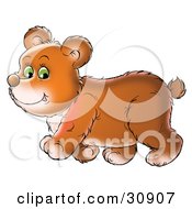 Poster, Art Print Of Chubby Green Eyed Bear Cub Walking Past