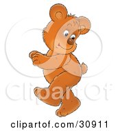 Poster, Art Print Of Energetic Bear Cub Looking Back At His Tail While Doing A Happy Dance