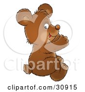 Poster, Art Print Of Brown Bear Cub Sitting On The Floor And Applauding