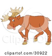 Clipart Illustration Of An Adult Moose With Large Antlers by Alex Bannykh