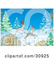 Clipart Illustration Of Two Caribou Reindeer Running Through Snow In A Forest On A Winter Night by Alex Bannykh