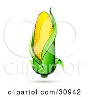 Clipart Illustration Of A Golden Ear Of Corn On The Cob With A Green Husk And A Shadow